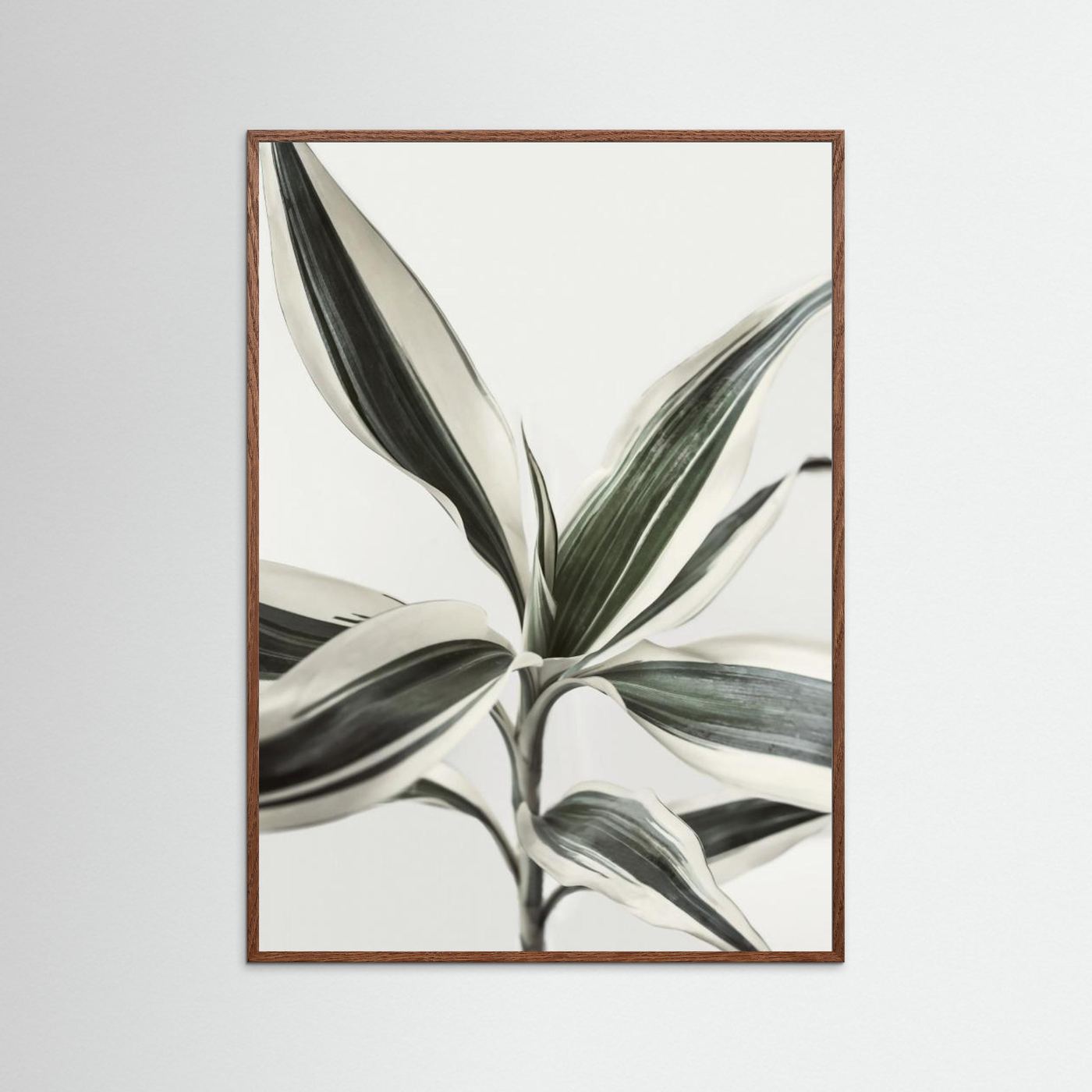 Foliage by Kathrin Pienaar
