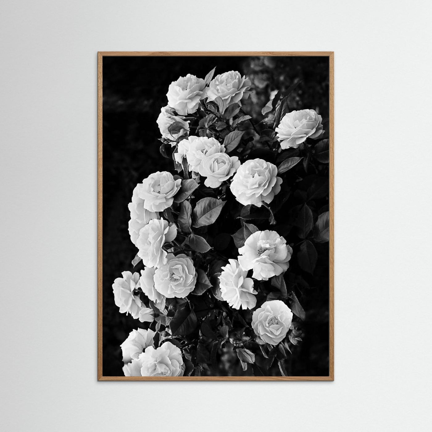 Rose Bush by Kathrin Pienaar