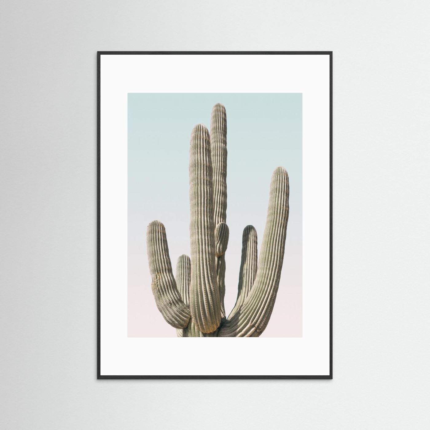 Saguaro by Kathrin Pienaar