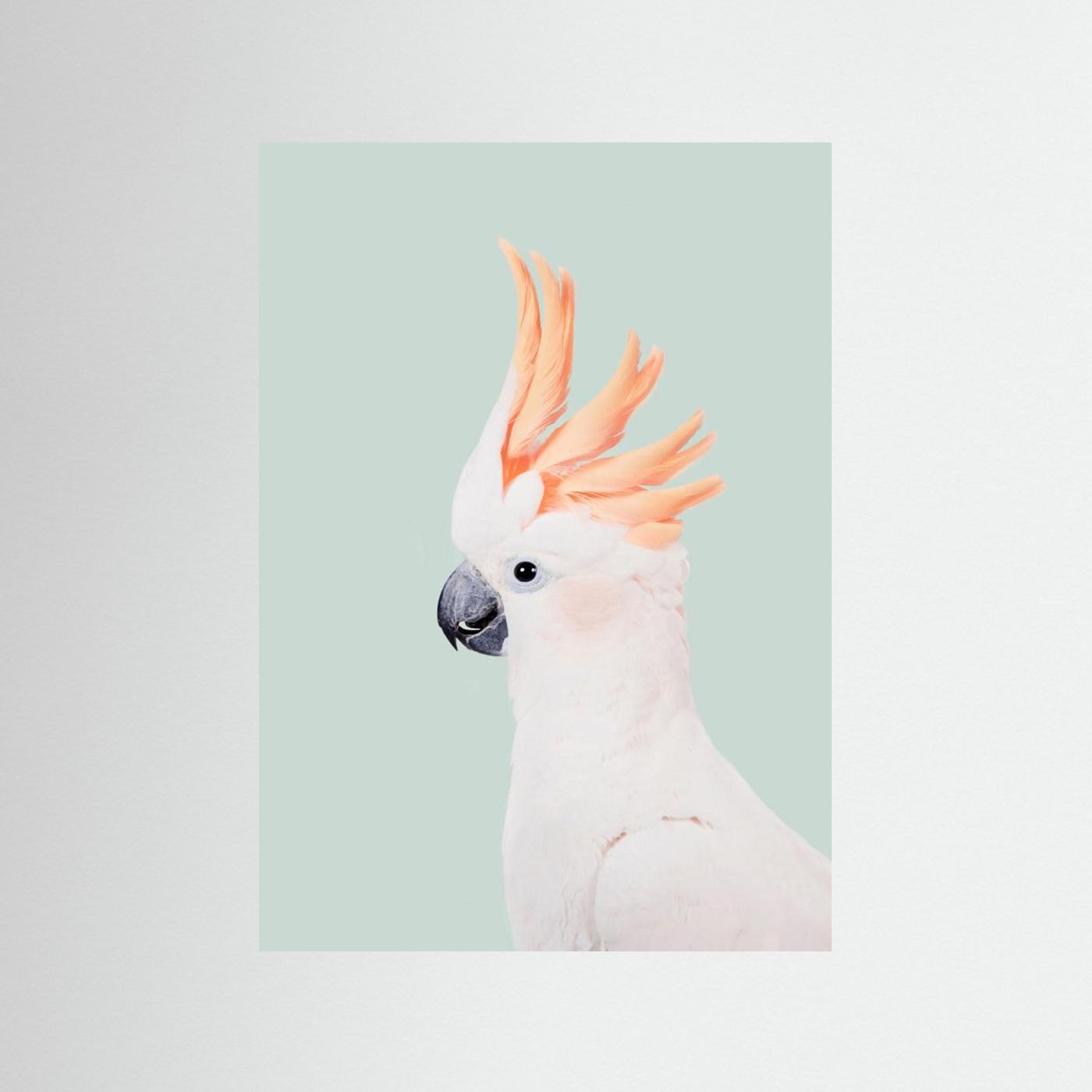 Cockatoo on Mint by Kathrin Pienaar