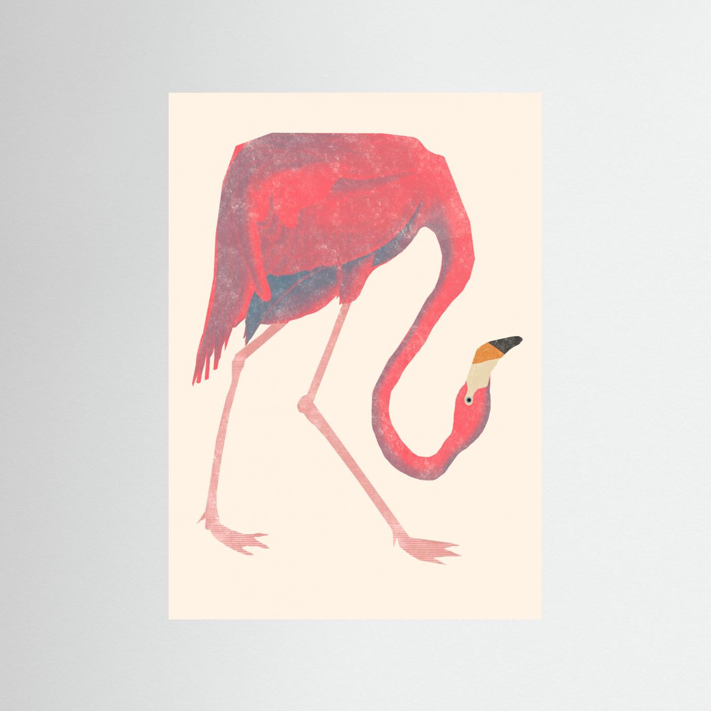 Flamingo by Josephin Hermsdorf