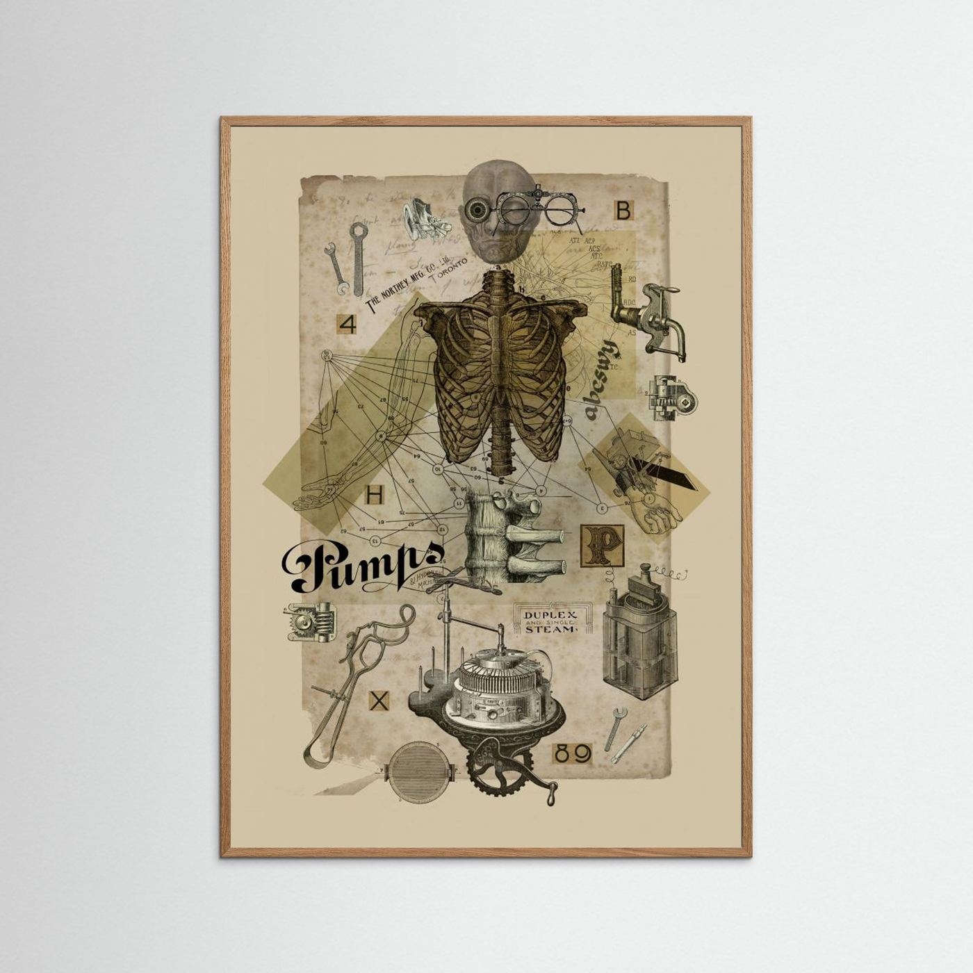 Body In Metamorphosis