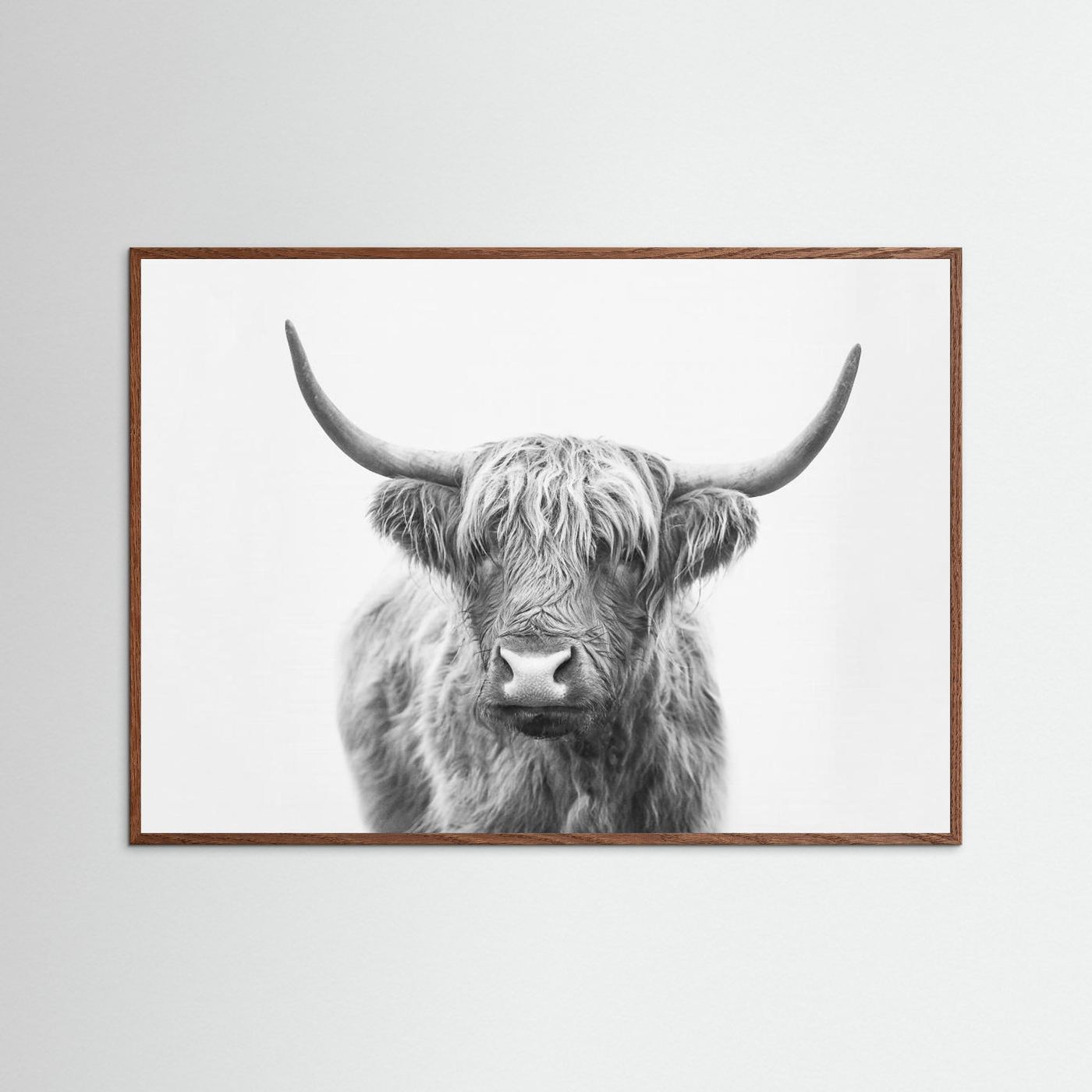 Highland Bull by Kathrin Pienaar