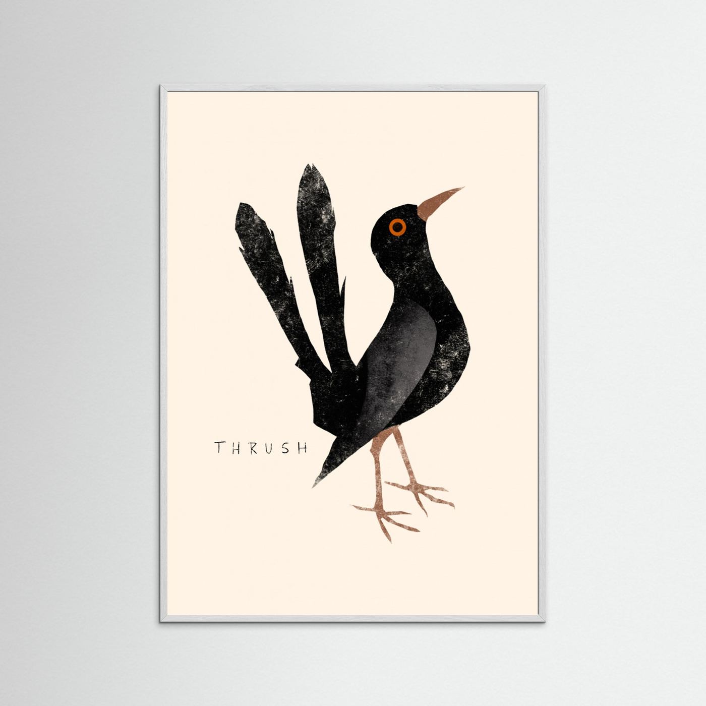Elegant Black Thrush by Josephin Hermsdorf