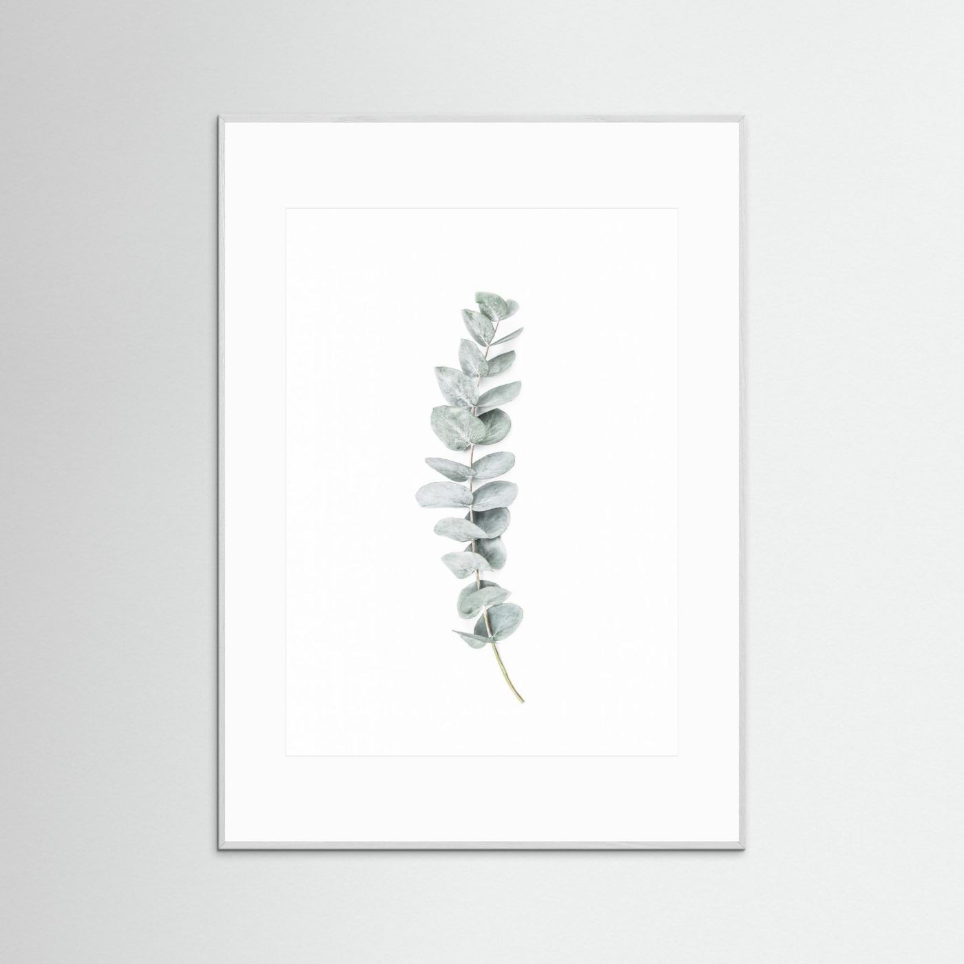 Eucalyptus II by Kathrin Pienaar