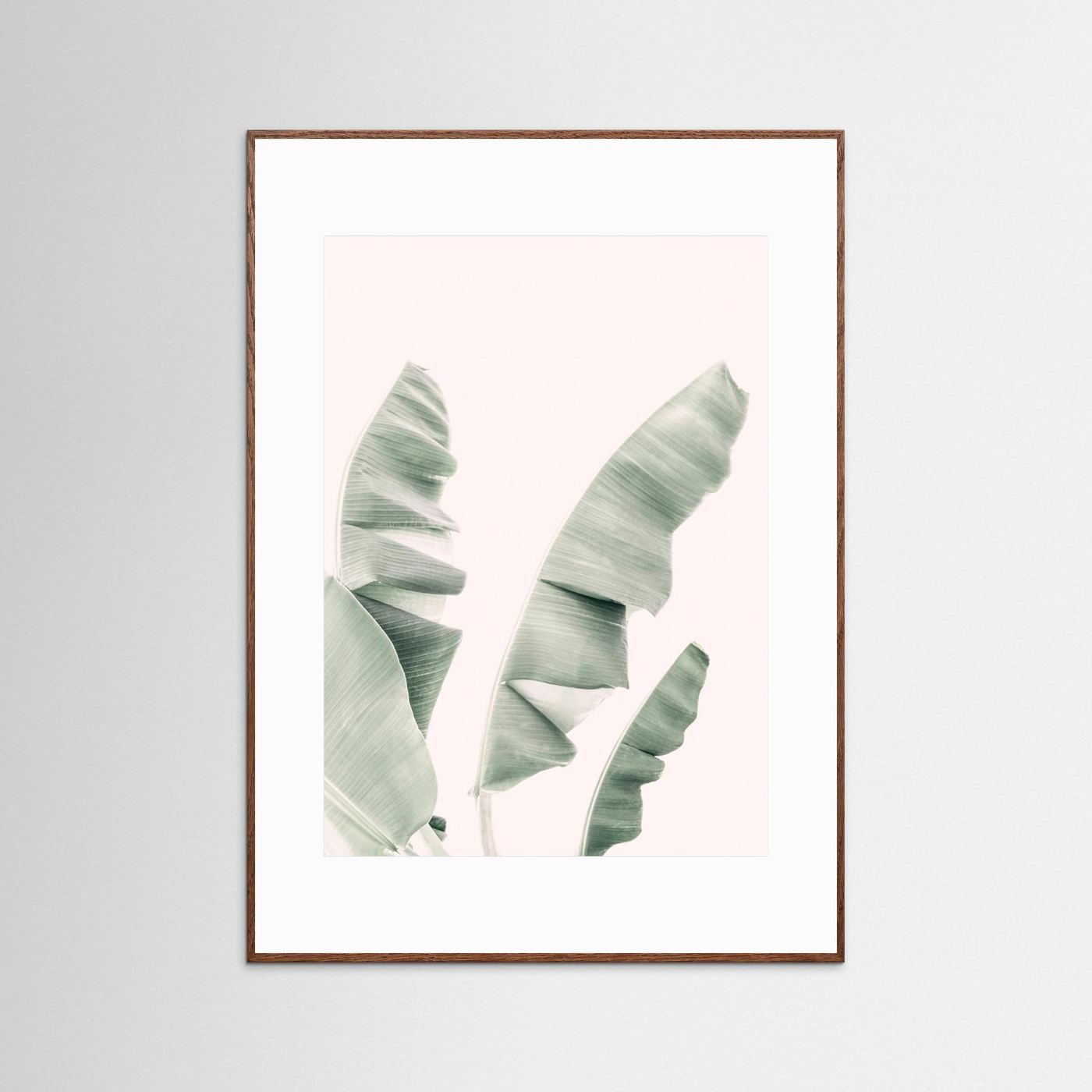 Blush Banana Leaves by Kathrin Pienaar