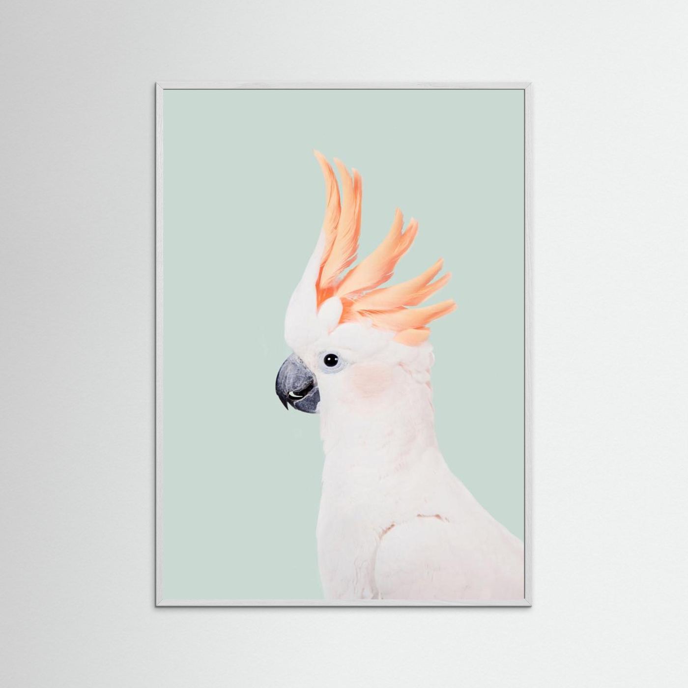 Cockatoo on Mint by Kathrin Pienaar