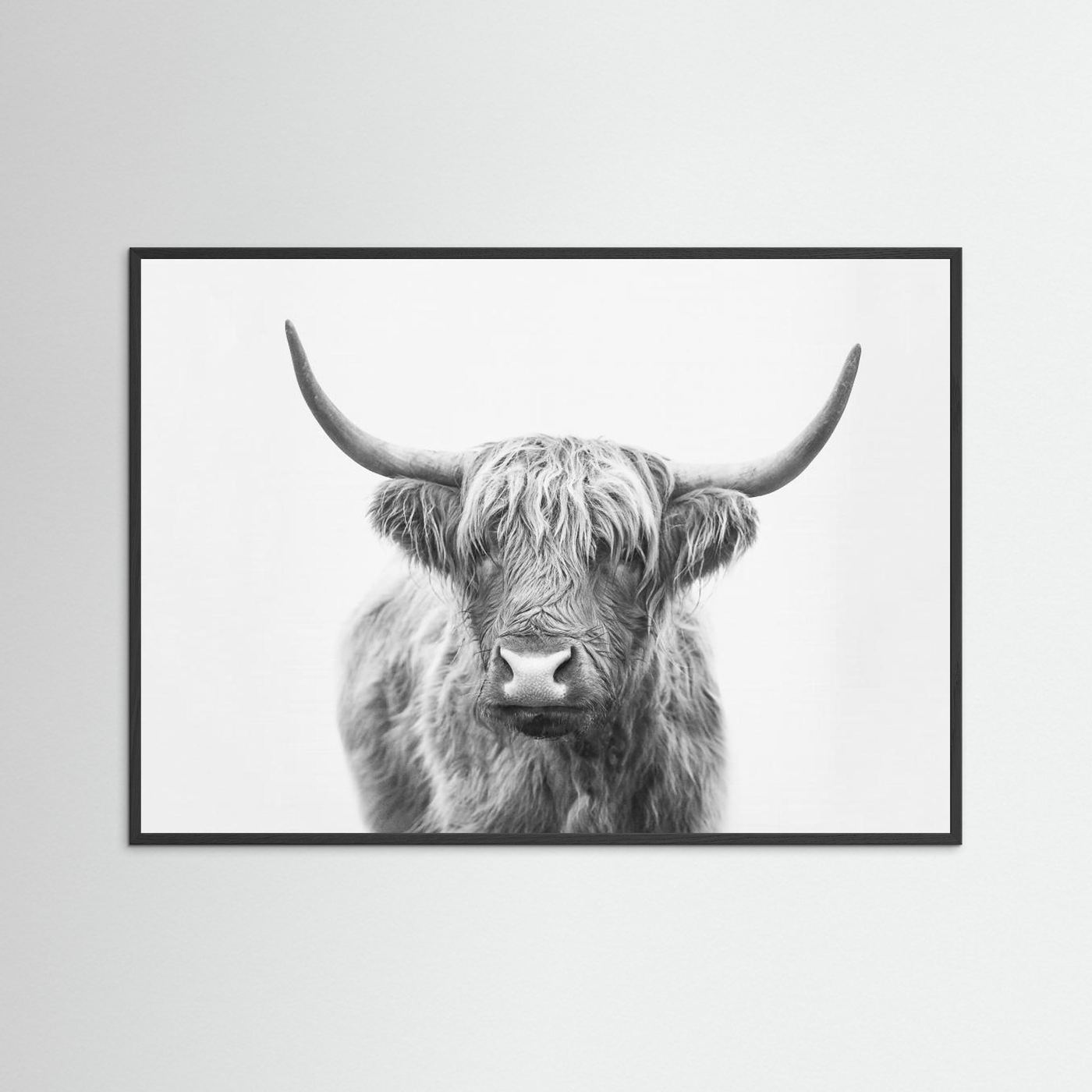 Highland Bull by Kathrin Pienaar