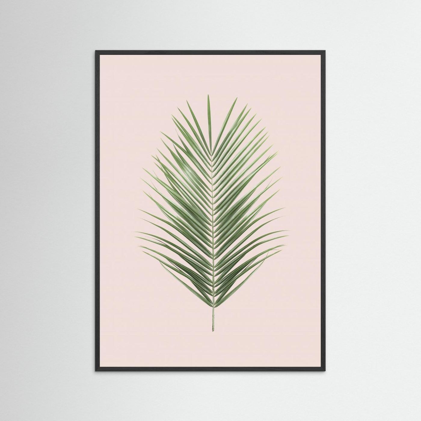 Palm Leaf Blush by Kathrin Pienaar