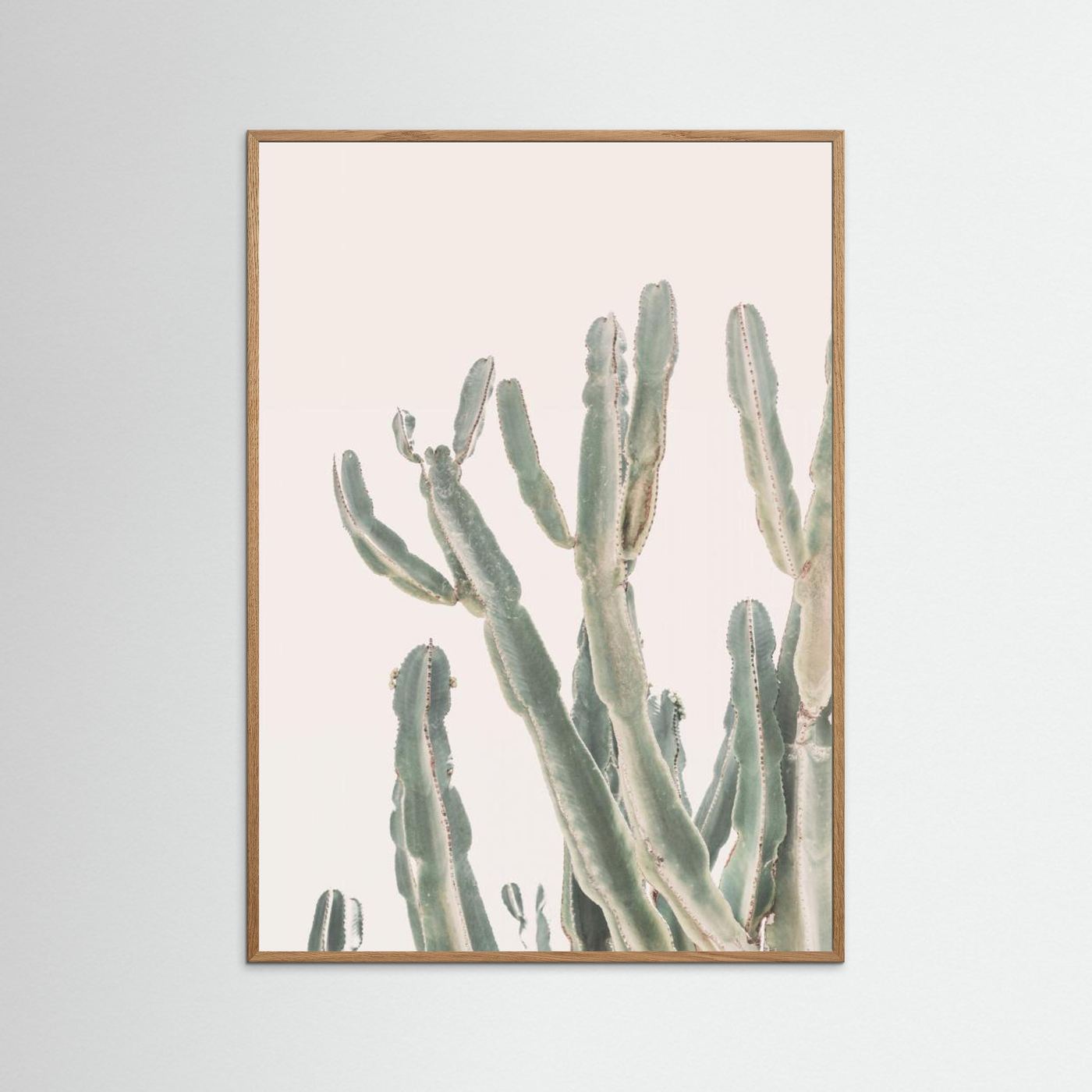 Sunrise Cactus by Kathrin Pienaar