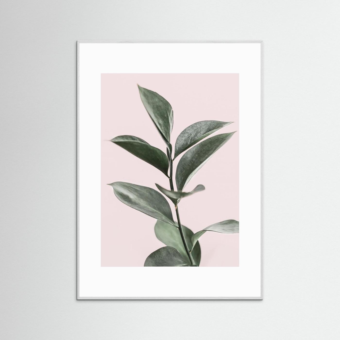 Foliage on Pink by Kathrin Pienaar