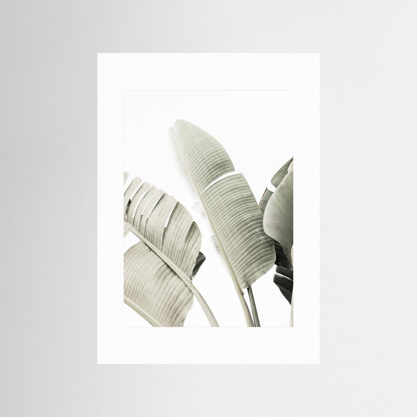 Banana leaf 1 by Kathrin Pienaar
