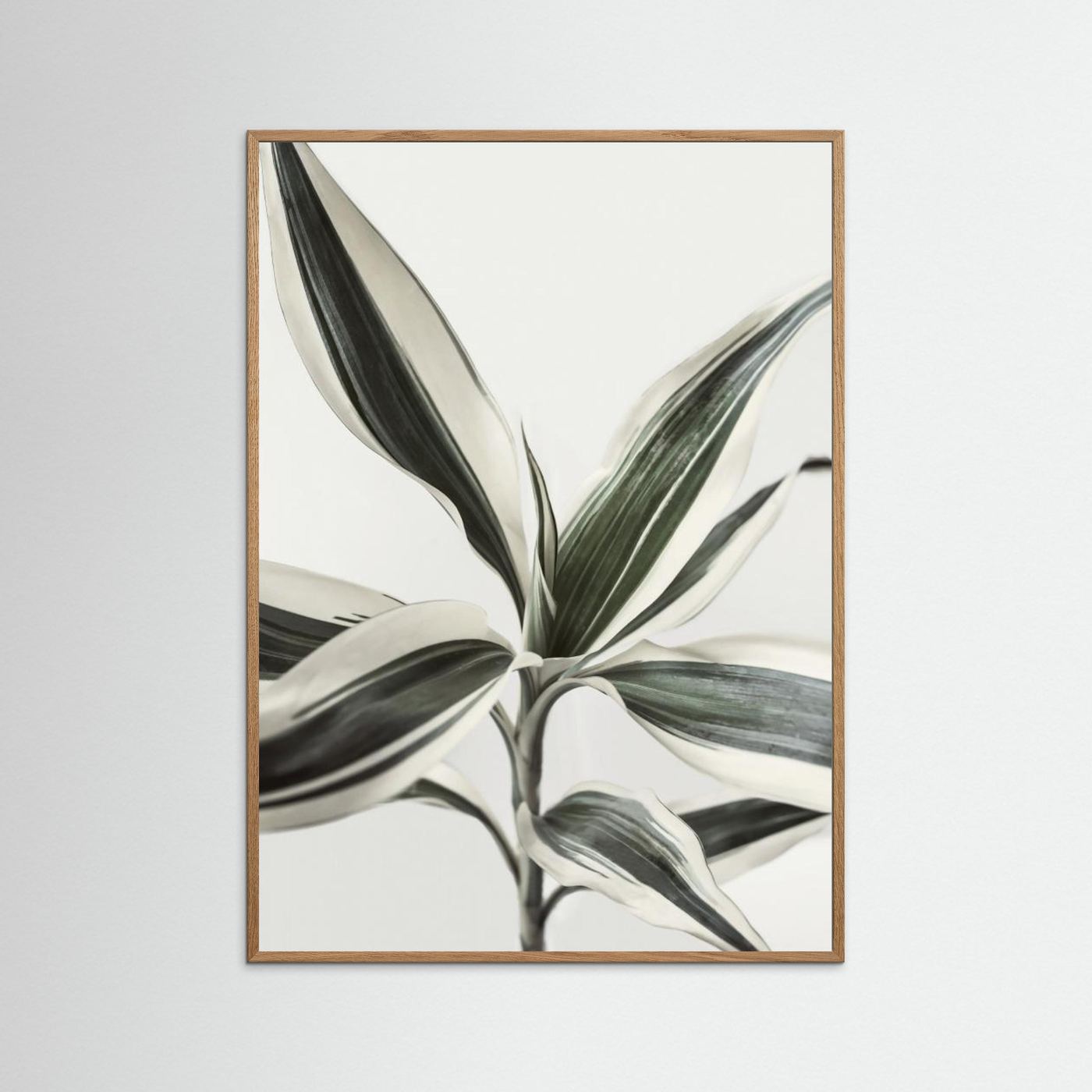 Foliage by Kathrin Pienaar