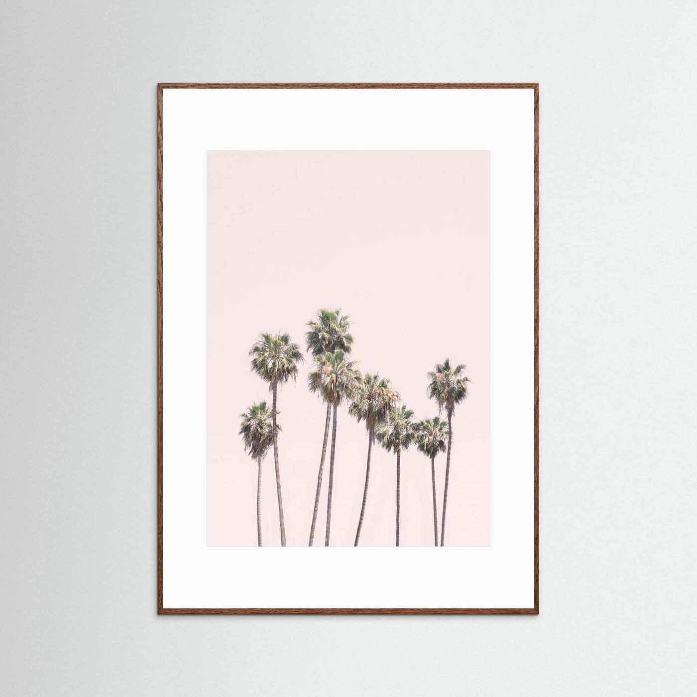 Blush Palms by Kathrin Pienaar
