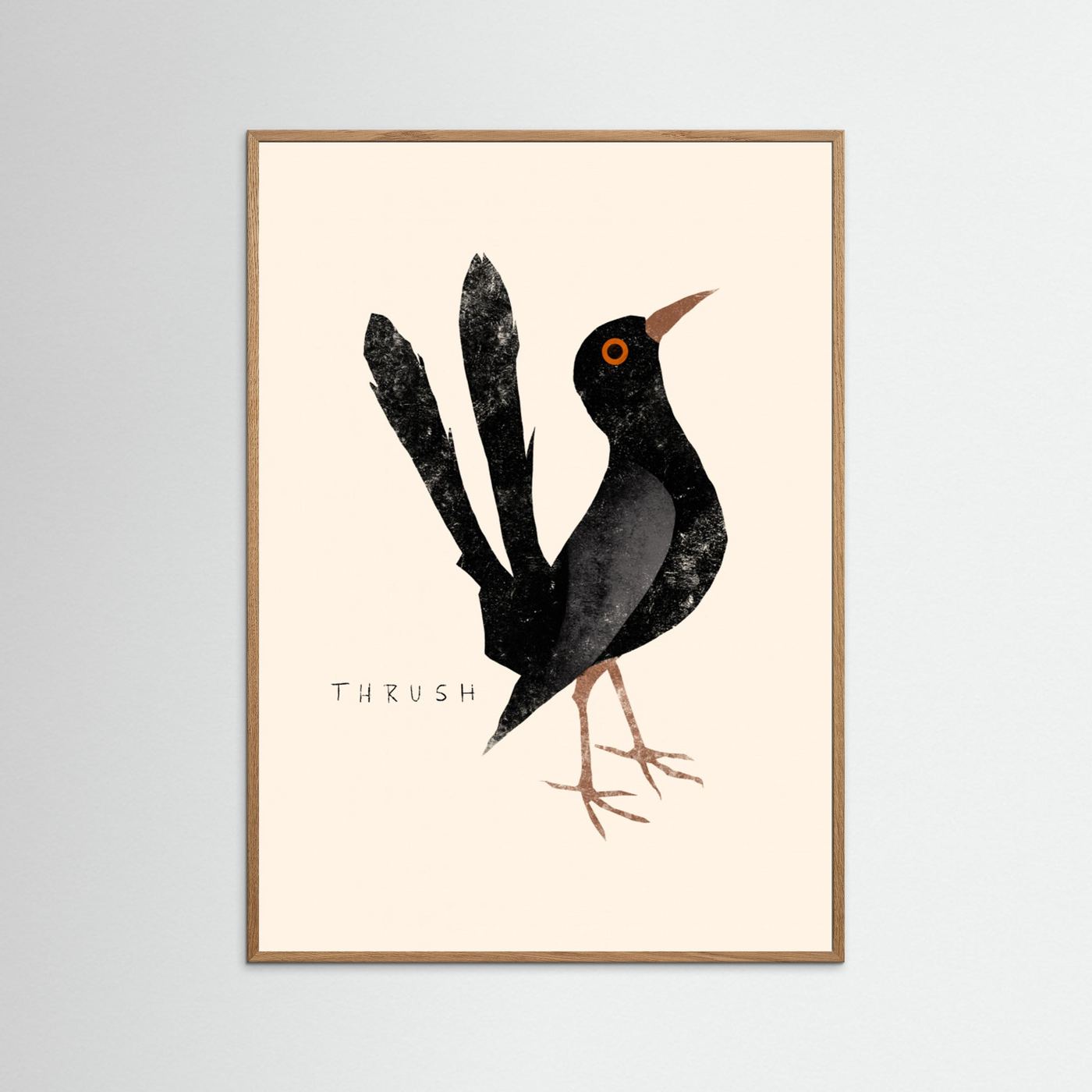 Elegant Black Thrush by Josephin Hermsdorf