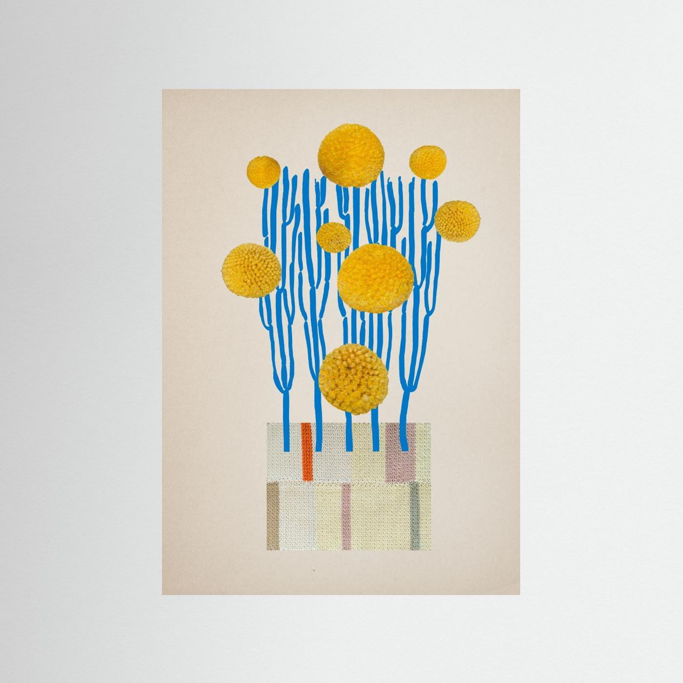 Dianajahns Potted Stick Plant 16x20 21 by Diana Jahns
