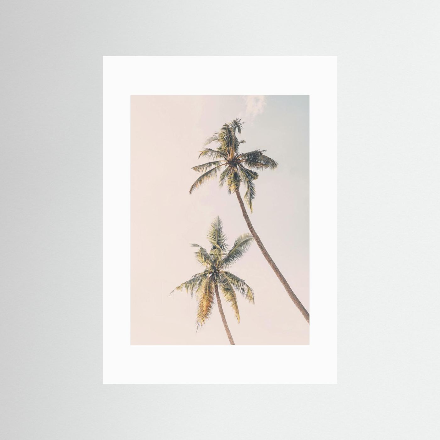 Tropical Palms by Kathrin Pienaar