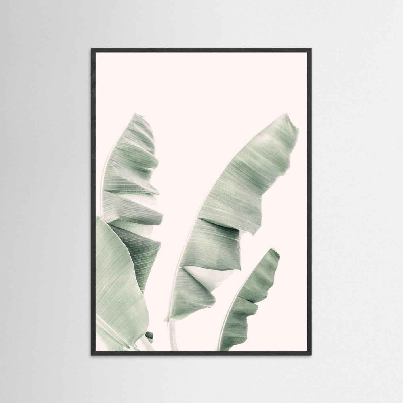 Blush Banana Leaves by Kathrin Pienaar