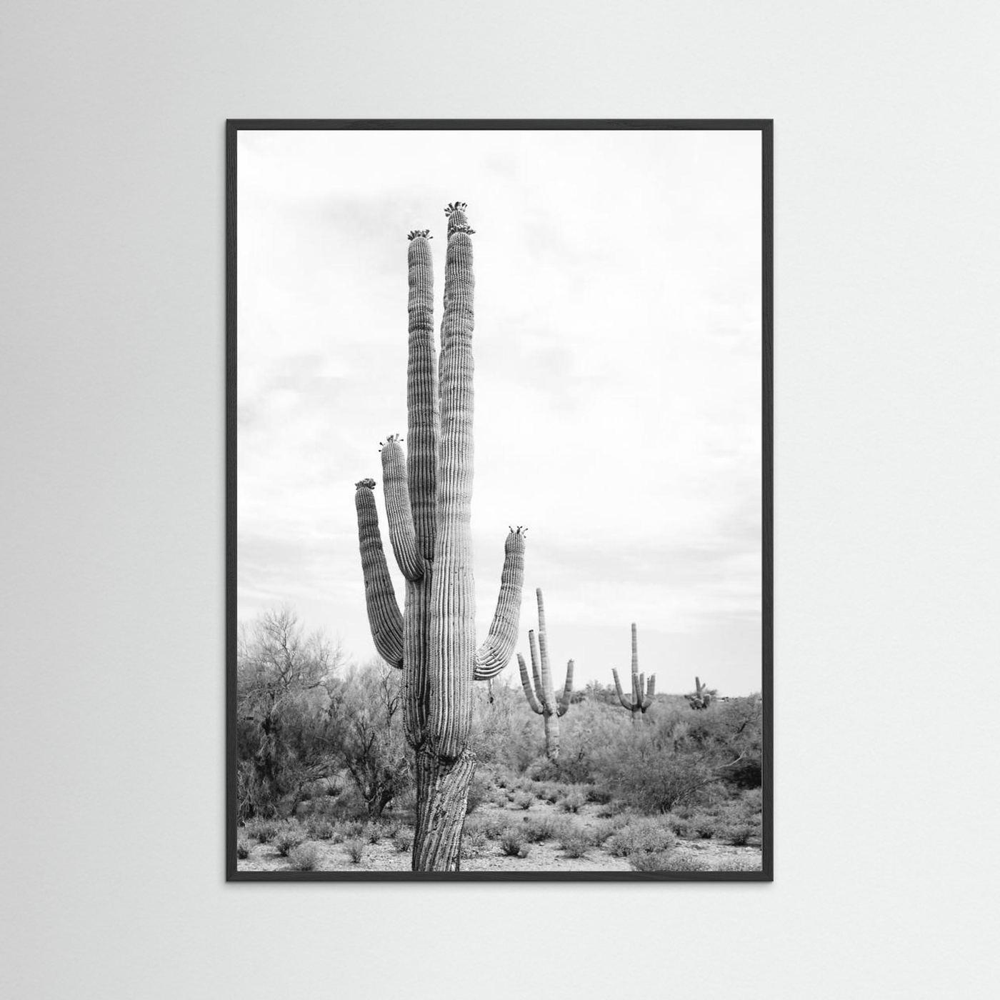 Saguaro B&W by Kathrin Pienaar