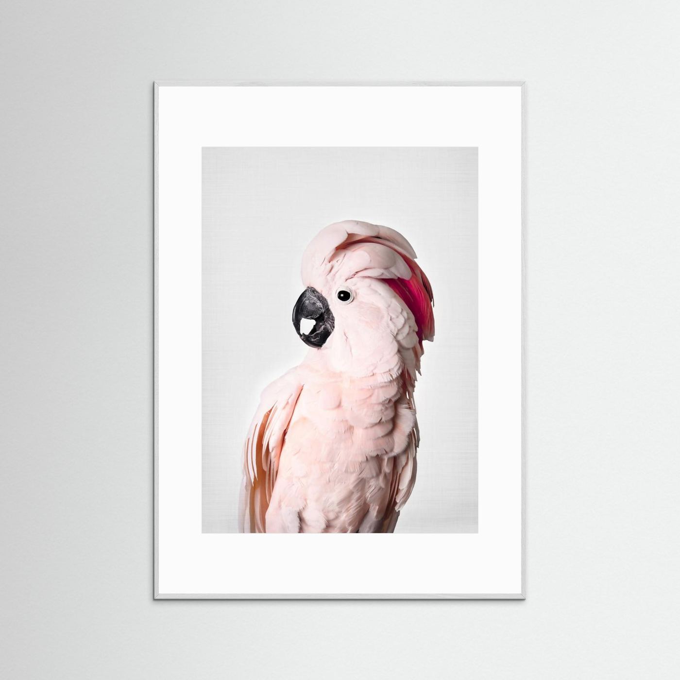Pink Cockatoo by Kathrin Pienaar