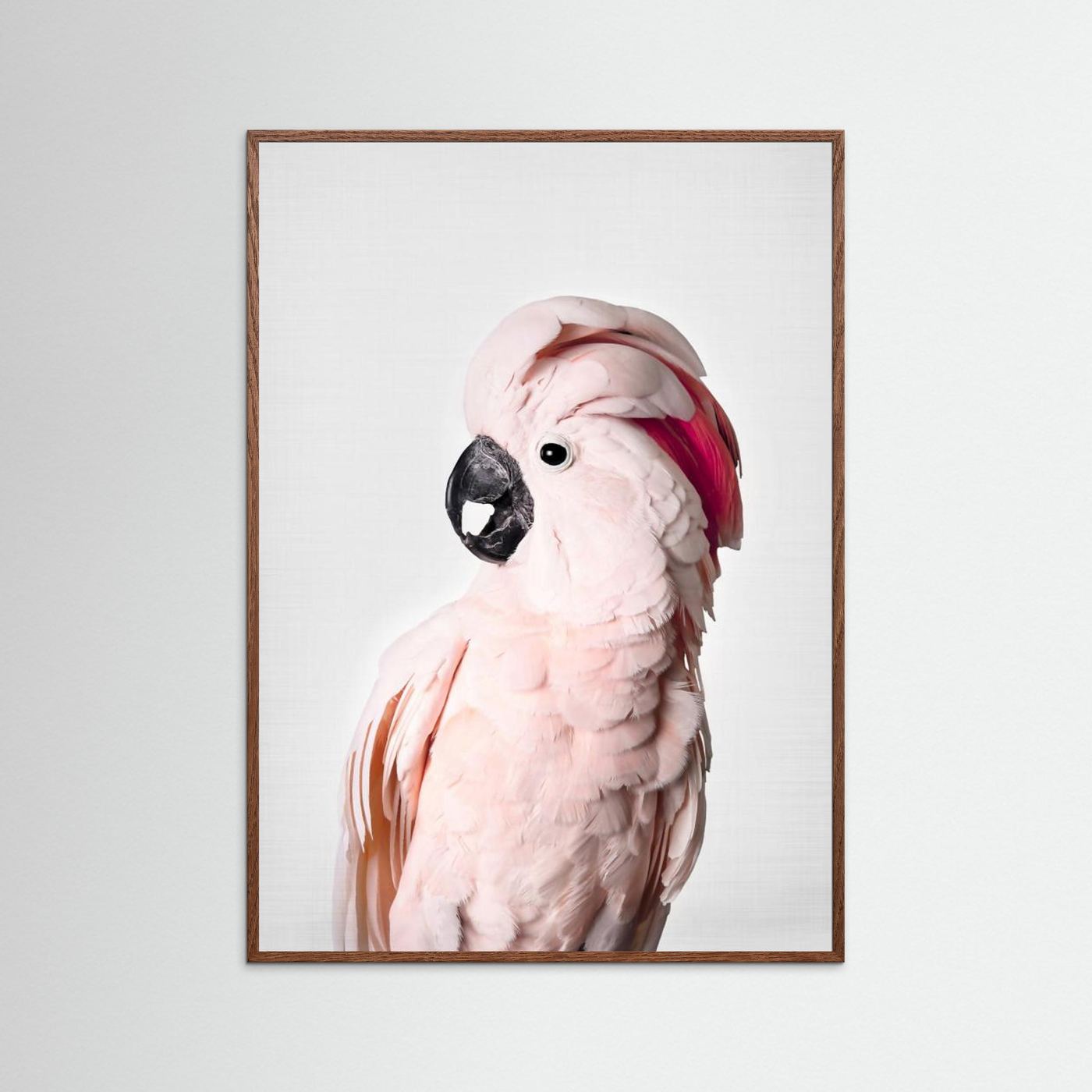 Pink Cockatoo by Kathrin Pienaar