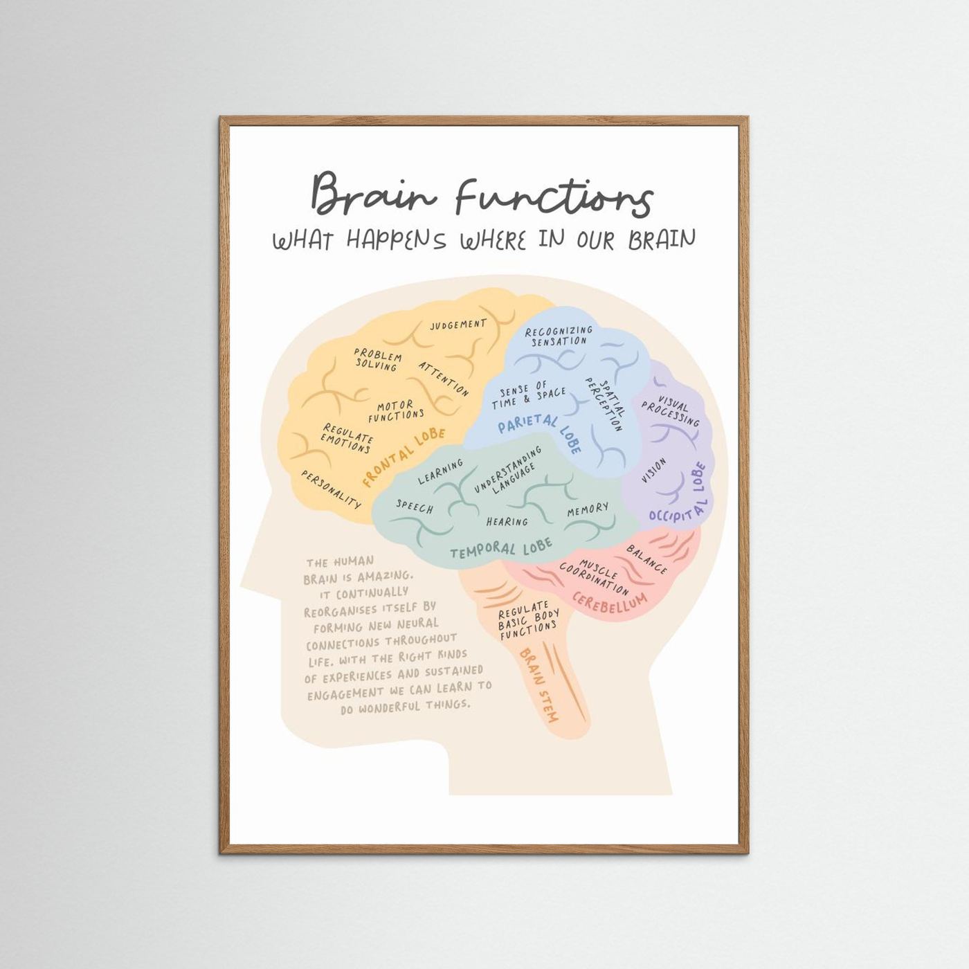 Brainfunctions by Ksana Kalpa