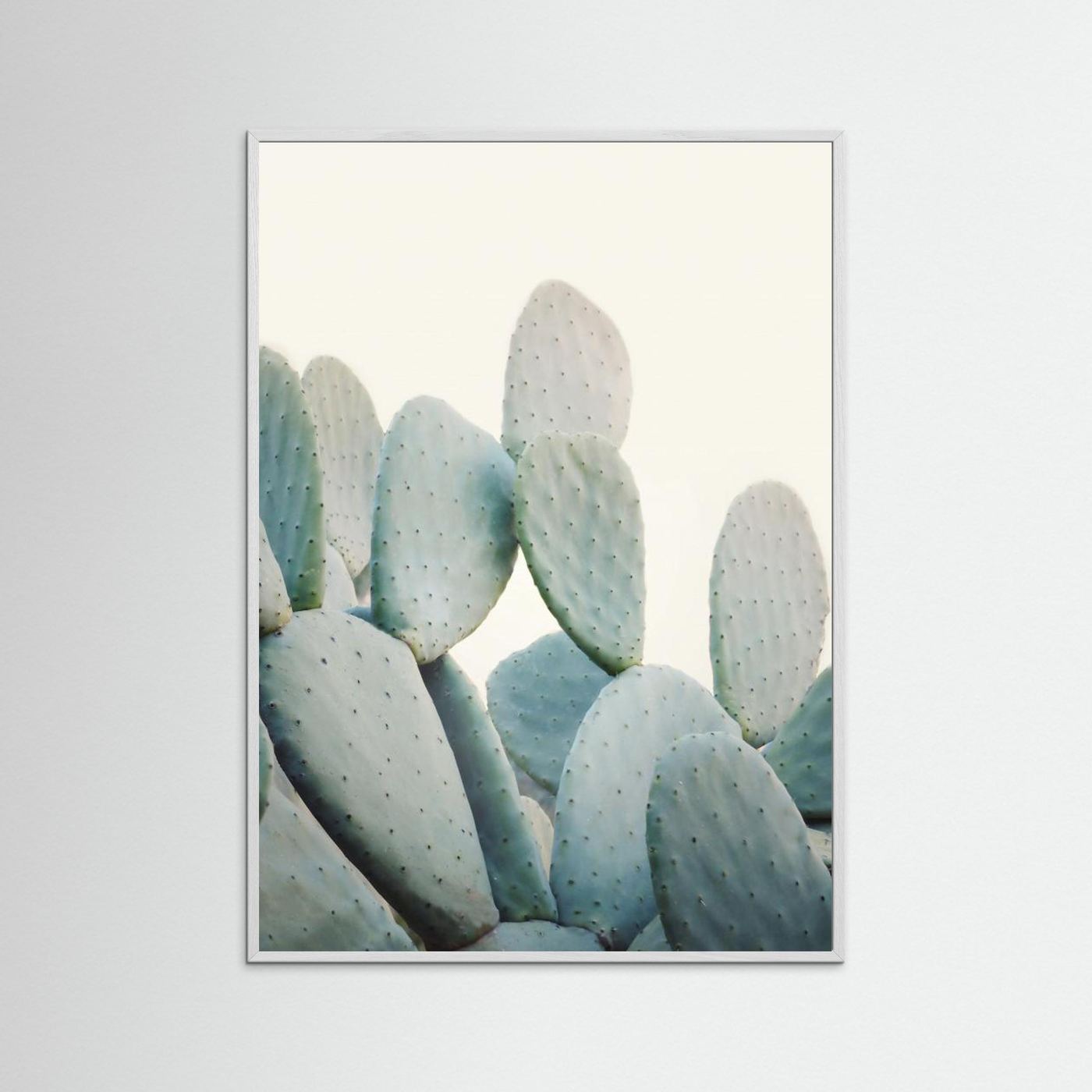 Pastel Cacti by Kathrin Pienaar