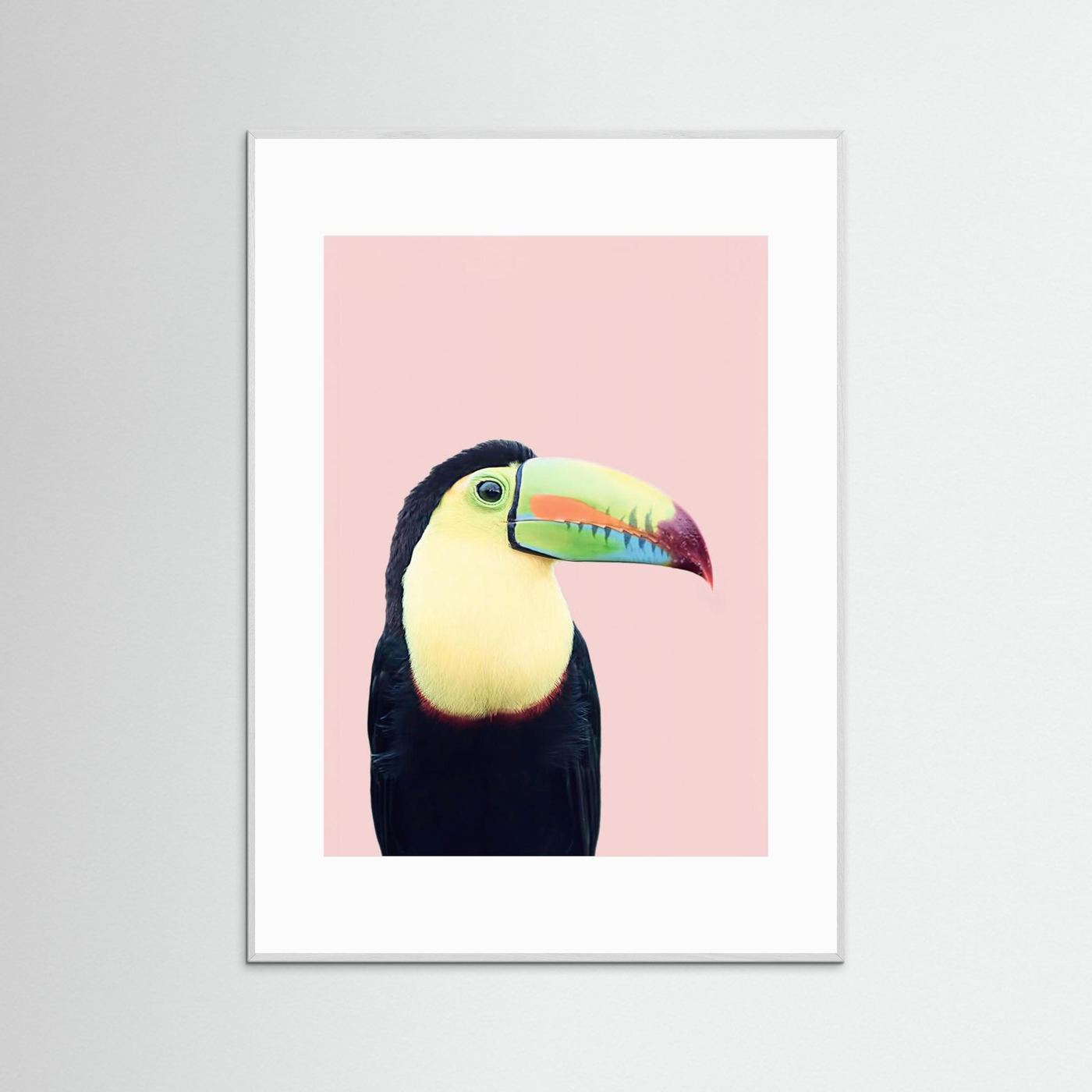 Toucan on Pink by Kathrin Pienaar
