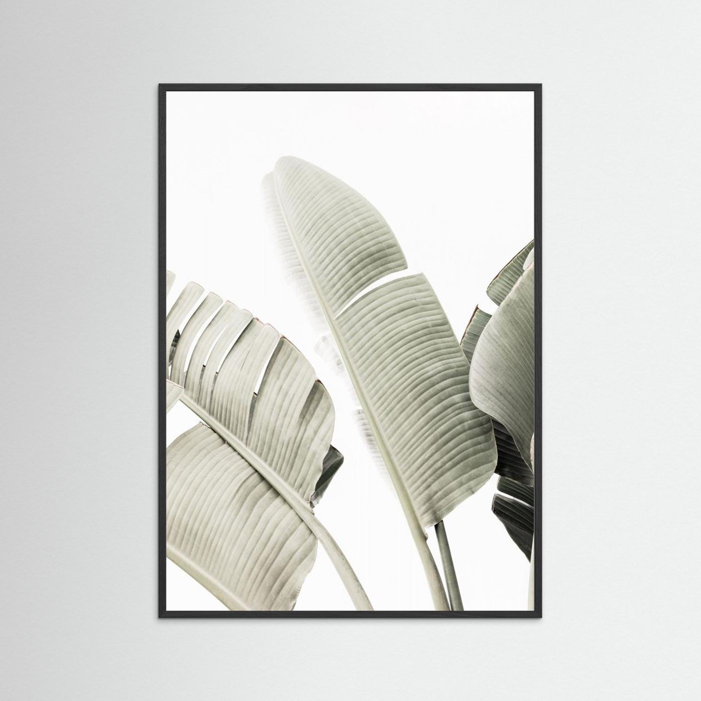 Banana leaf 1 by Kathrin Pienaar