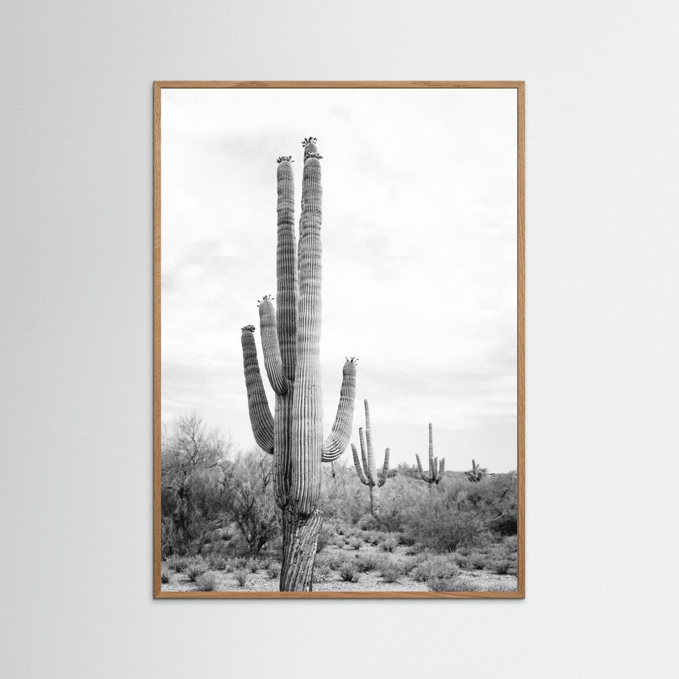 Saguaro B&W by Kathrin Pienaar