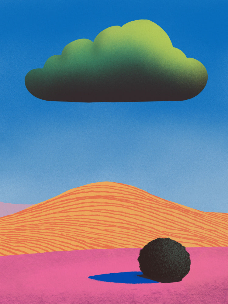 Vibrant desert