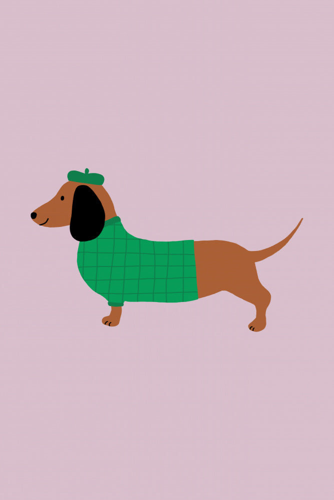 Dachshund