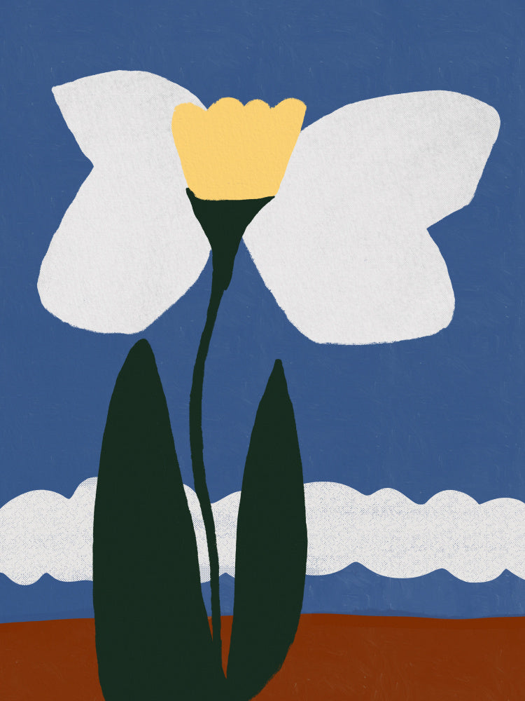 Butterfly bloom