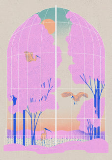 Frame preview