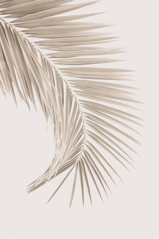 Tan Leaf