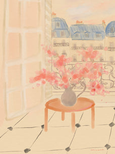Frame preview