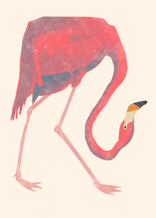 Frame preview