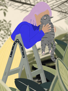 Frame preview