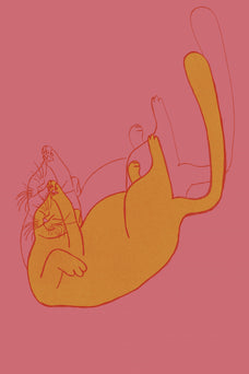 Frame preview