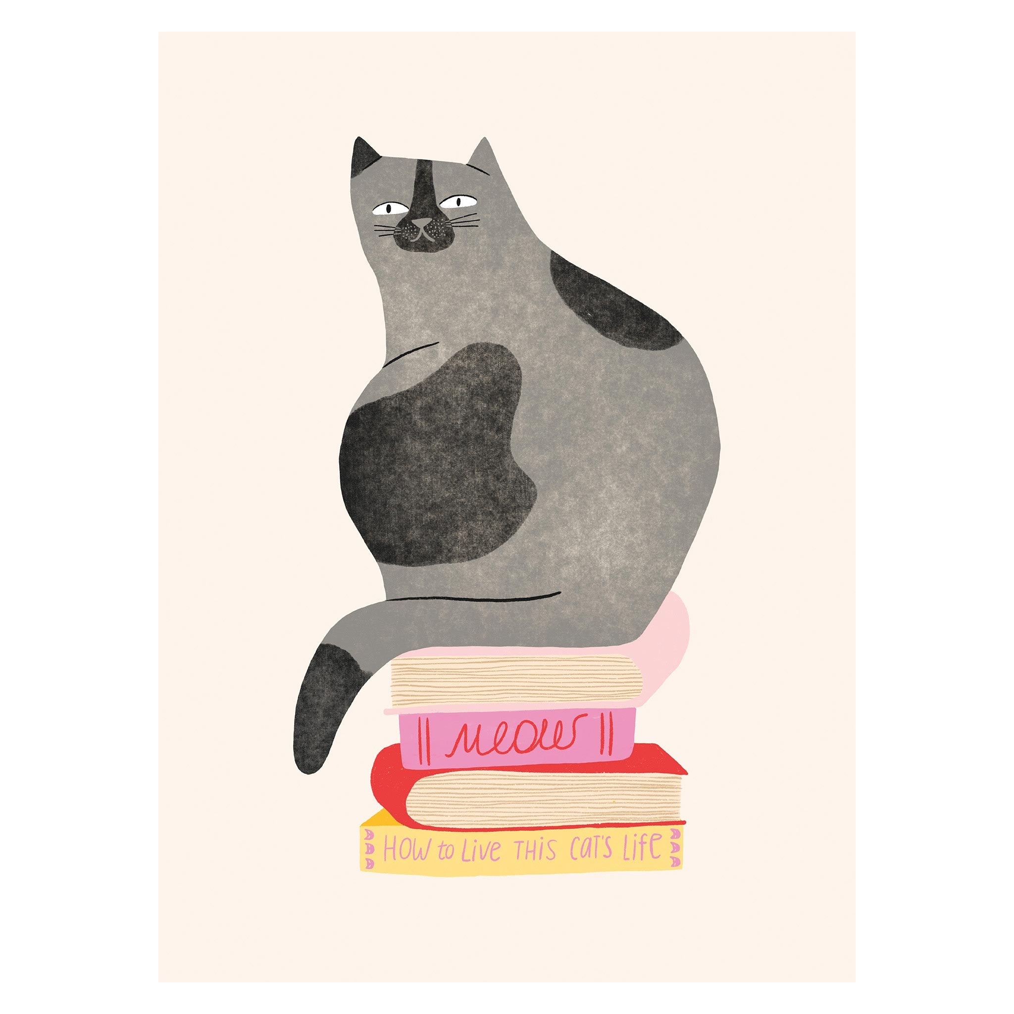 The Scholarly Spotted Cat