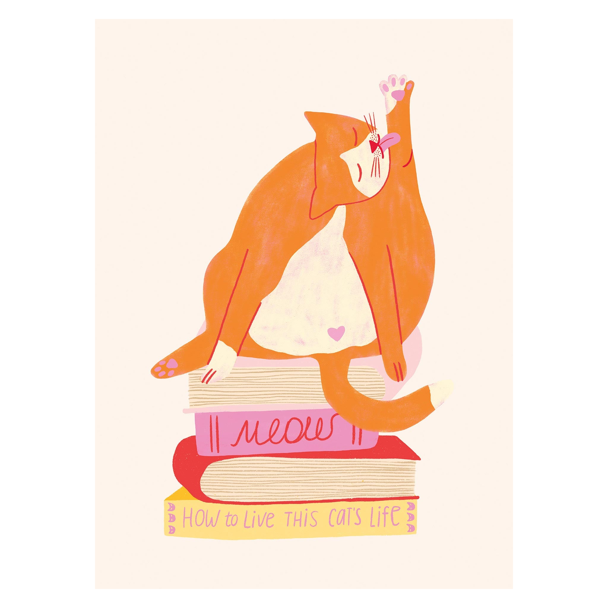 Book Lover Cat