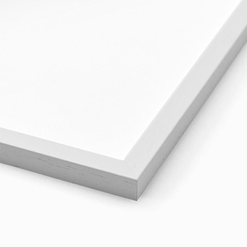 White Wood Frame With Plexiglass