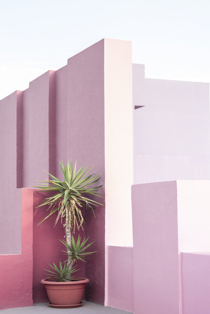 La Muralla Roja 4
