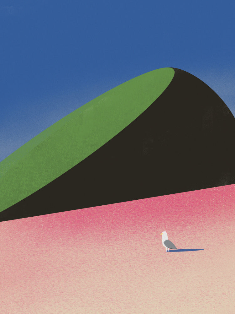 Seagull in foreign land