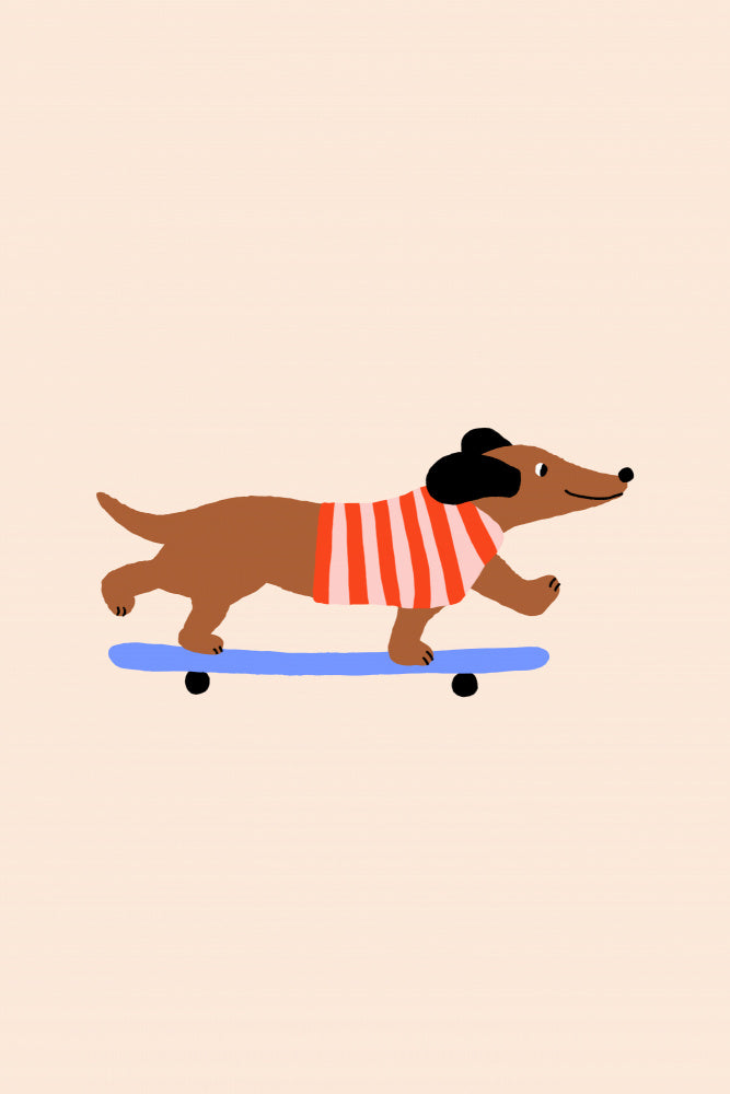 Dachshund on Skateboard