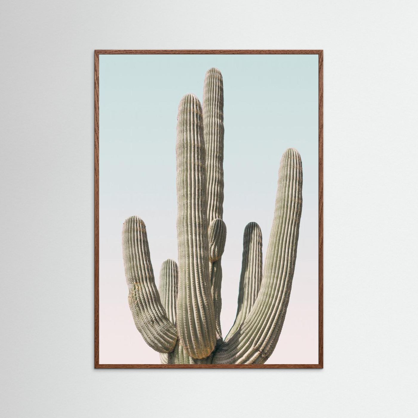 Saguaro by Kathrin Pienaar