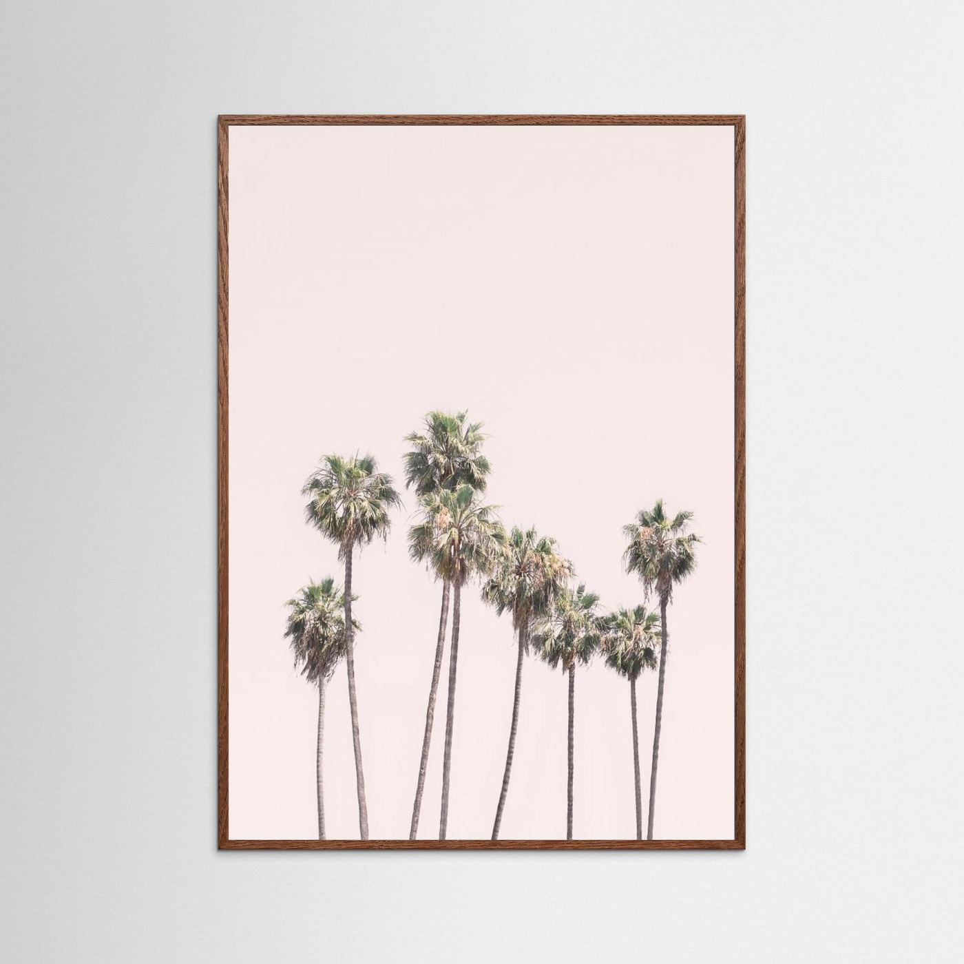 Blush Palms by Kathrin Pienaar