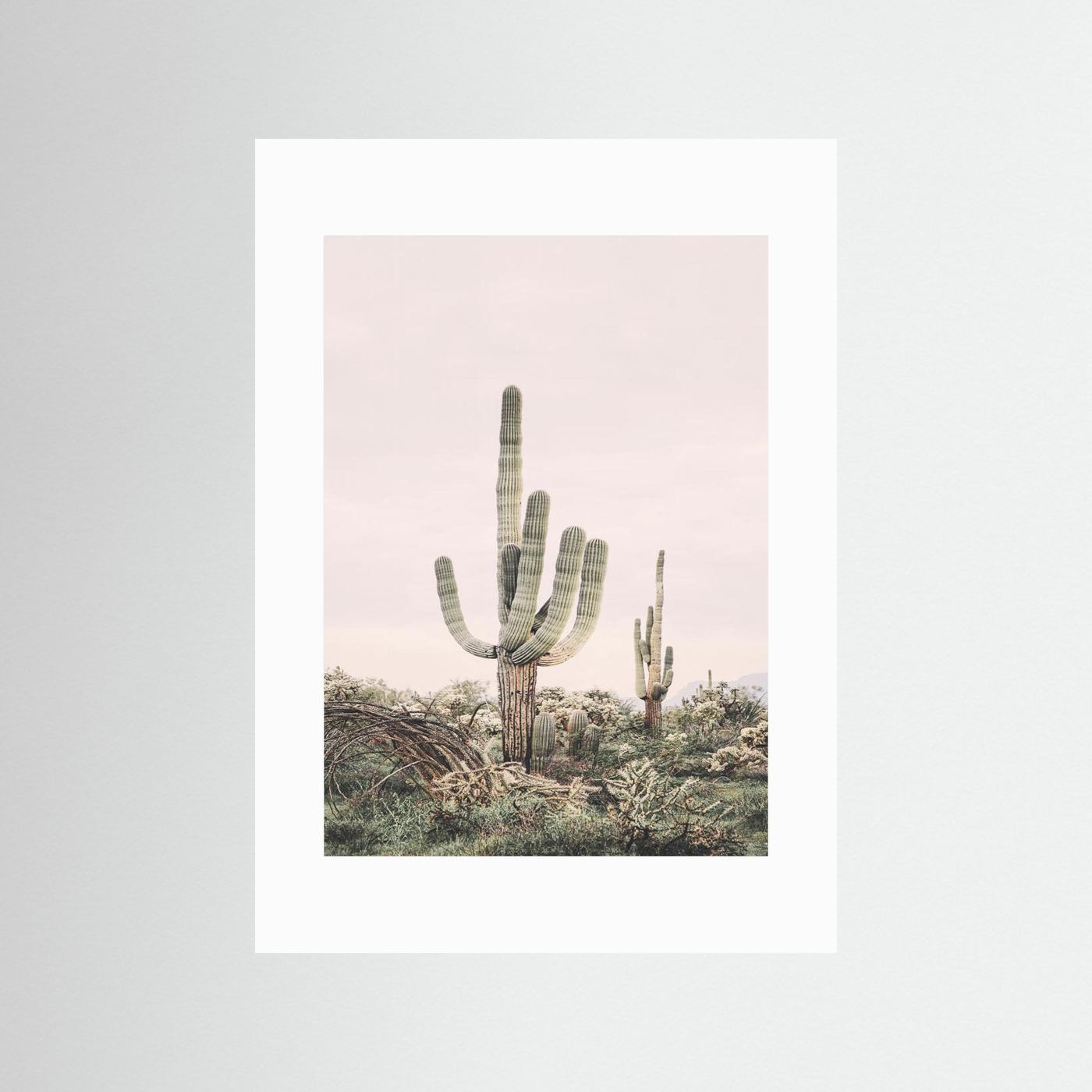 Pink Saguaro by Kathrin Pienaar