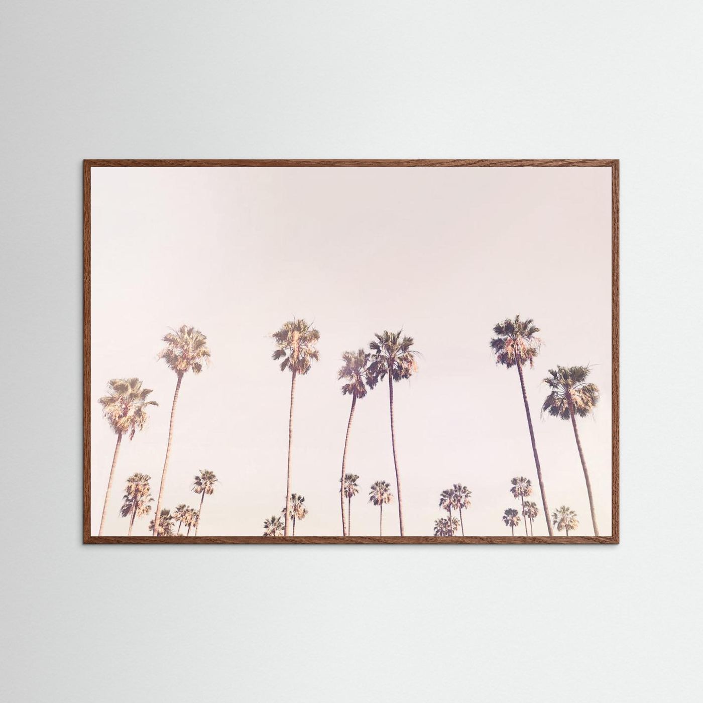 Sunny Cali Palm Trees by Kathrin Pienaar