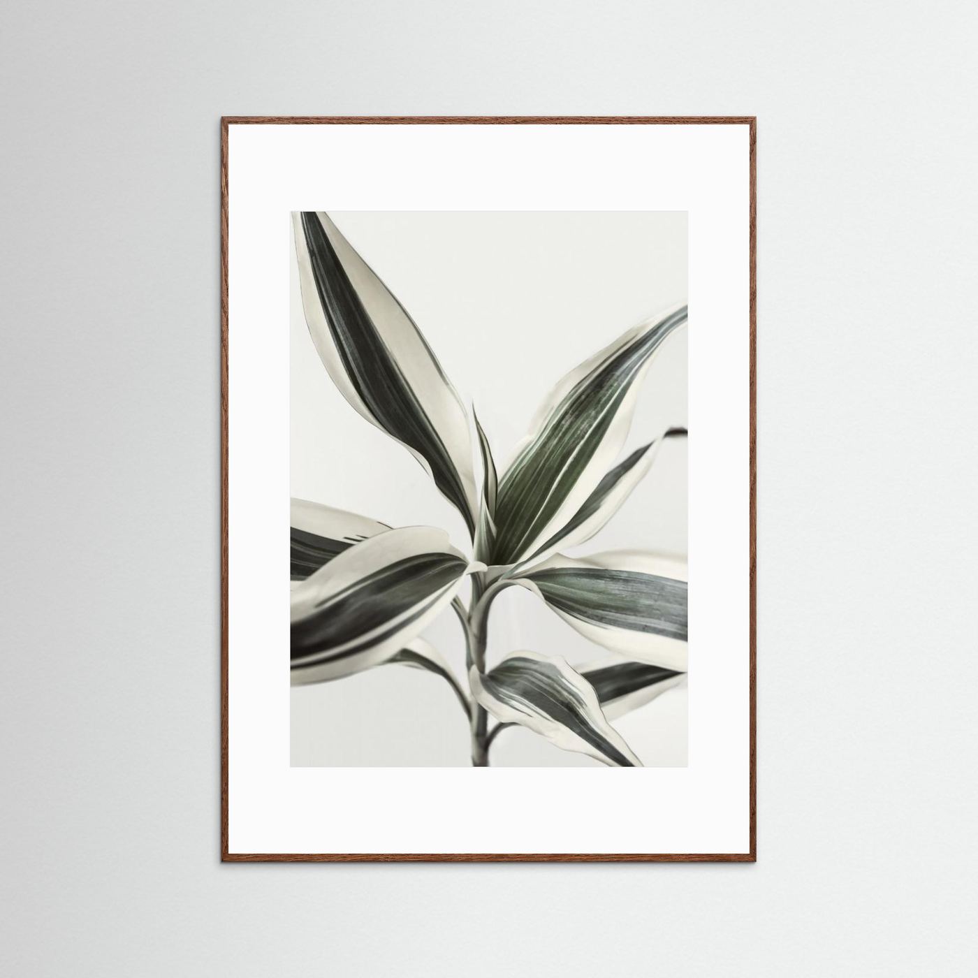Foliage by Kathrin Pienaar